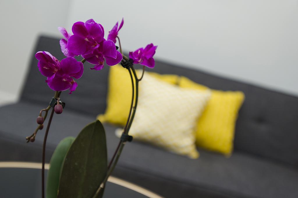 Market Street Apartments - City Centre Modern 1Bedroom Apartments With New Wifi And Very Close To Tram Nottingham Extérieur photo